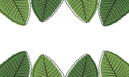 leaf hand drawn illustration background with nature theme on white backgroundのイラスト素材