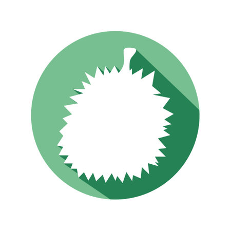 DURIAN fruit vector icon design with long shadow styleのイラスト素材