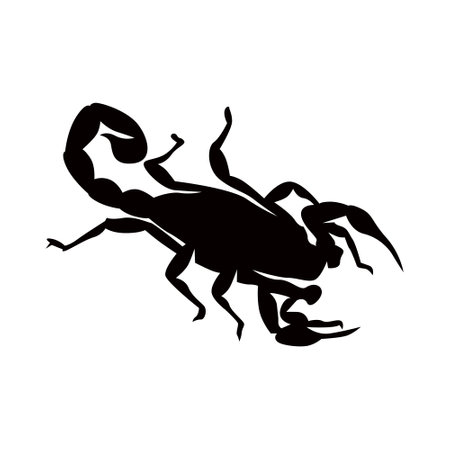 scorpion animal silhouette design line artのイラスト素材