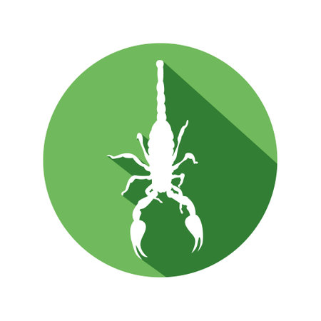 Vector design of a scorpion animal with a long shadow techniqueのイラスト素材