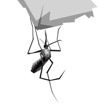 illustration design of a black and white mosquito wpap pop art vector styleのイラスト素材