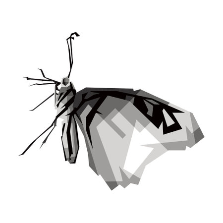 Design illustration of an isolated black and white butterfly wpap pop art vector styleのイラスト素材