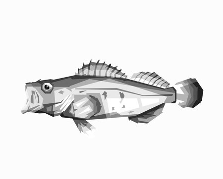 Cute fish popart vector image 1 design illustration wpap artworkのイラスト素材