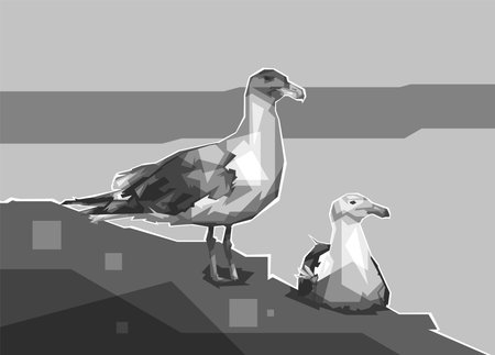 Illustration design of two Seagulls Black and white popart wpap styleのイラスト素材