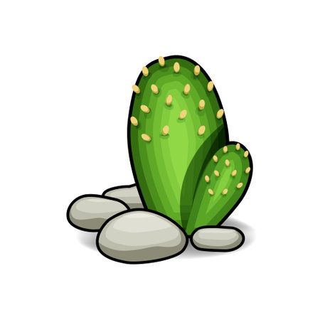 A drawing illustration art of a cactus clip art graphicのイラスト素材