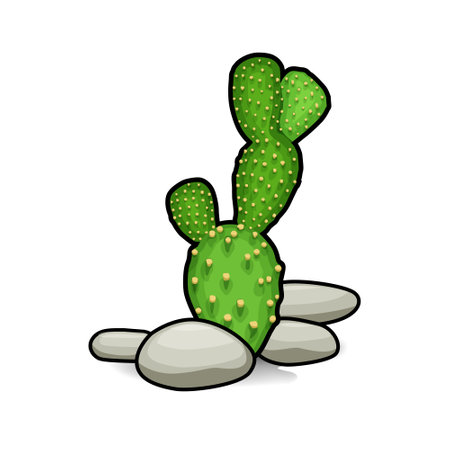 A drawing illustration art of a cactus clip art isolatedのイラスト素材