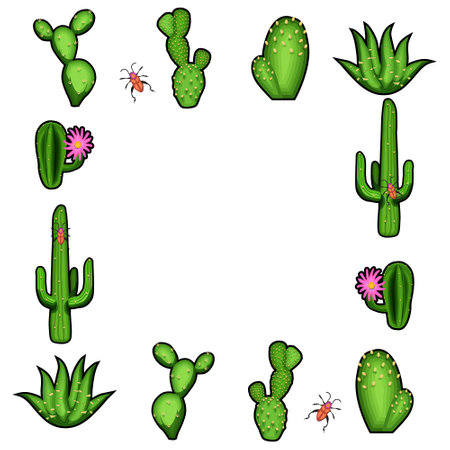 Frame art of green plants cactus isolated on white backgroundのイラスト素材