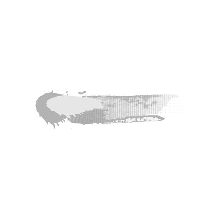 White brush stoke abstract element vectorのイラスト素材