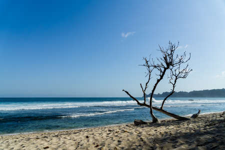 Gili Trawangan Beach are an archipelago of three islands are a tourist destination. located in northwest coast of Lombok, Indonesia.の写真素材