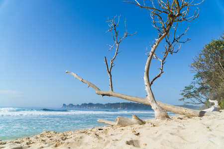 Gili Trawangan Beach are an archipelago of three islands are a tourist destination. located in northwest coast of Lombok, Indonesia.の写真素材