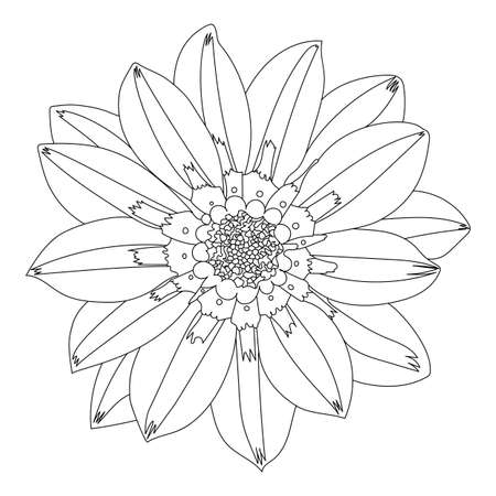Line silhouette drawing design of a flower. vector illustrationのイラスト素材
