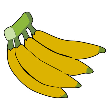 banana fruit icon image vector illustration design  sketch style yellow colorのイラスト素材