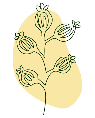 Flower line art vector illustration. Hand drawn botanical illustration.のイラスト素材