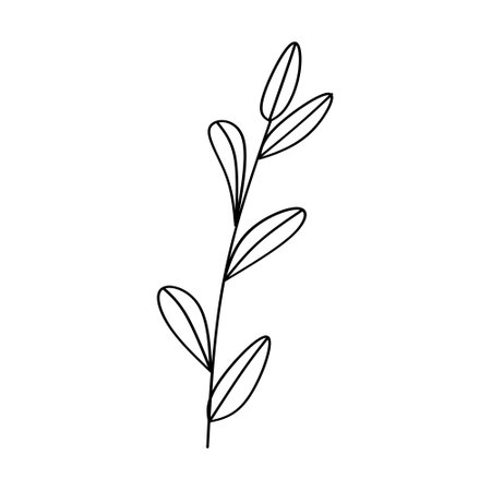 branch with leafs nature ecology isolated icon vector illustration designiconのイラスト素材