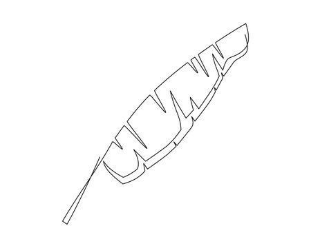 continuous line drawing of banana leaf. Vector illustration on white background.のイラスト素材