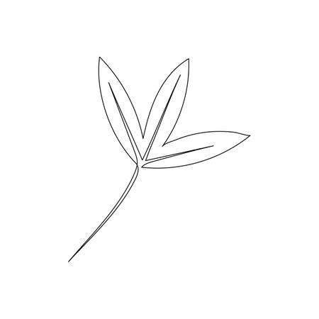 leafs plant ecology isolated icon vector illustration design  black and whiteのイラスト素材