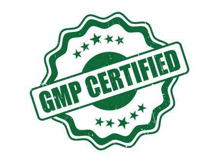 A Decorative Border GMP Certified Green Rubber Stamp for Quality and Standardsのイラスト素材