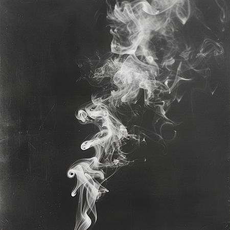 Smoke isolated on black background. Abstract background. Black and white.の素材