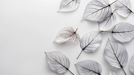 Silver leaves on white background. Flat lay, top view, copy spaceの素材