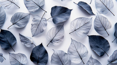 Blue leaves pattern on white background. Flat lay, top view.の素材