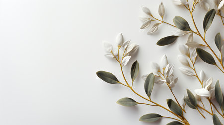 Delicate white magnolia flower branches with subtle green leaves, presented on a clean, minimalist white backdrop. Elegant botanical composition.の素材