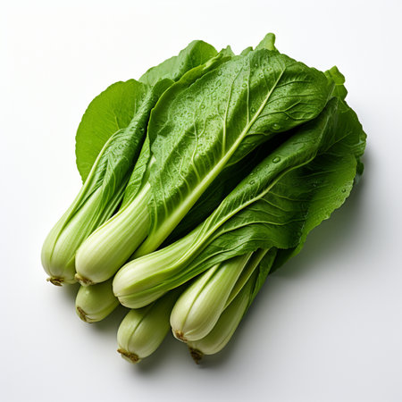 Bok choy or Chinese cabbage on a white background, top viewの素材