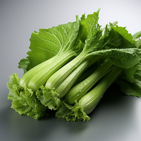 Bunch of fresh celery with water drops on a grey backgroundの素材
