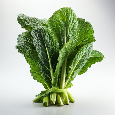 Bunch of fresh green chinese kale isolated on white background.の素材