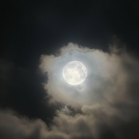 Full moon in the night sky with clouds and stars in the skyの素材
