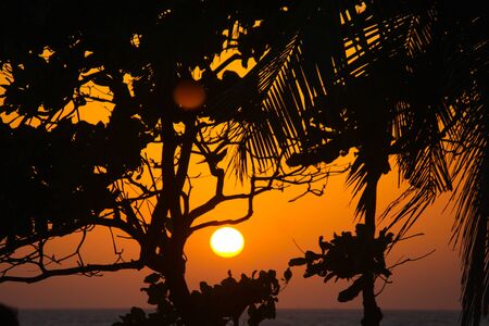 sunset through the treesの写真素材