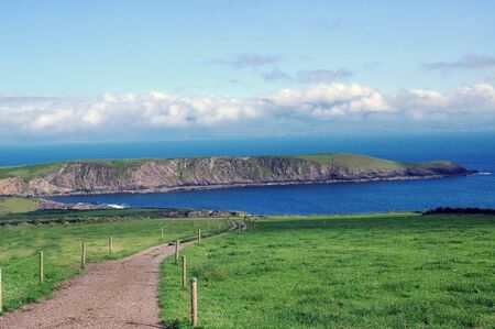 Seaside Meadows