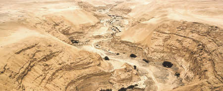 Canyon, dry river top view. Aerial viewの写真素材
