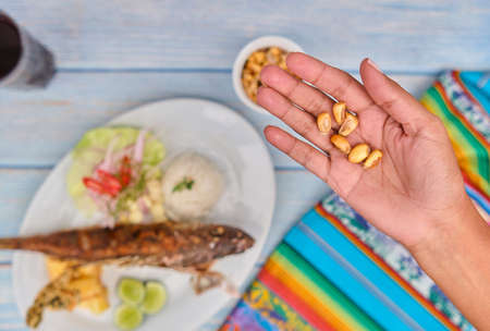 Woman holding a Peruvian corn nut known also as cancha, small appetizer plate. Selective Focusの写真素材