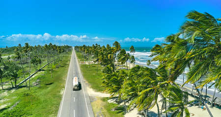 Beautiful Caribbean road with palm trees along the coast of Venezuela, aerial view.の写真素材