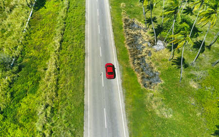 Beautiful Caribbean road with palm trees along the coast of Venezuela, aerial view.の写真素材