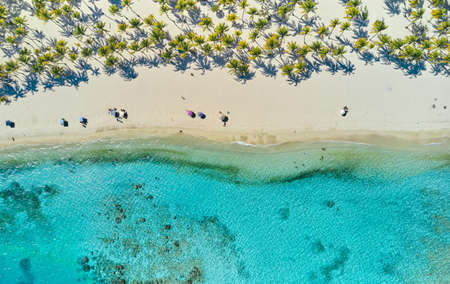Top view in Caribbean island Paradisiacal - Cayo Sombrero - Morrocoy Venezuela. Aerial View.の写真素材