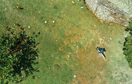 Aerial view the Group of surfers chilling out on the beach. Los Caracas beach, La Guaira - Venezuela.の写真素材