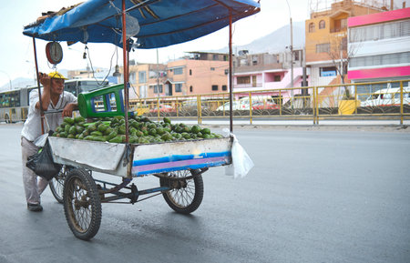 Mobile street vendor selling avocado, aguacate, palta. A Avocado cart sits on the side of the roadの写真素材
