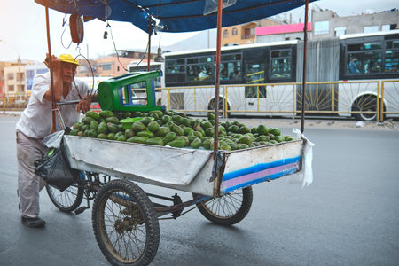 Mobile street vendor selling avocado, aguacate, palta. A Avocado cart sits on the side of the roadの写真素材
