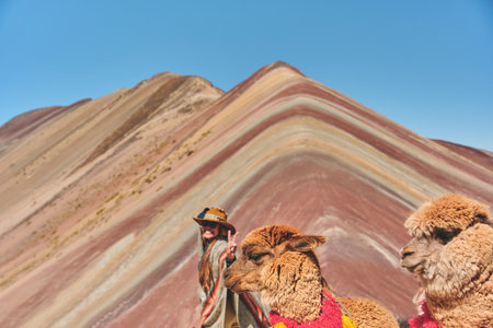 Woman standing and alpaca in the rainbow mountain in Peru with all the colors of the mountain in the background.の写真素材