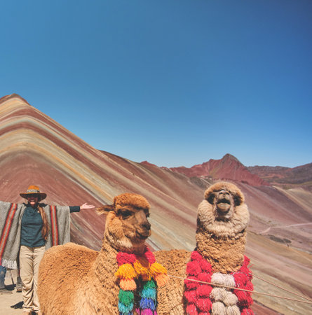 Woman standing and alpaca in the rainbow mountain in Peru with all the colors of the mountain in the background.の写真素材