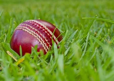 A red cricket ball laying in green grassの写真素材