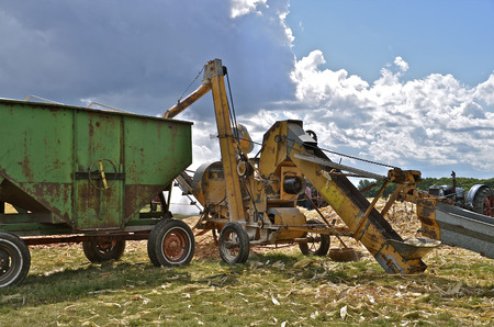 An old timeworn sheller is is in the process of sending the shelled kernels  from the auger to the...