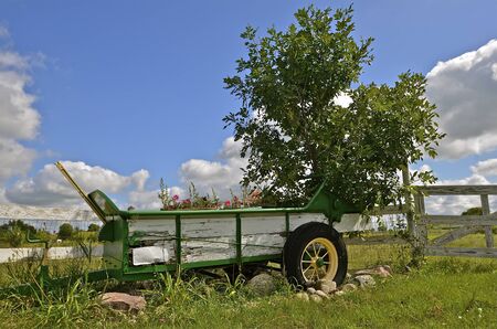 An old wood manure spreader is being used as a planter and lawn decorationの写真素材