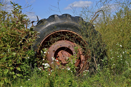 Only the large wheel of an old tractor is visible in the weed patch