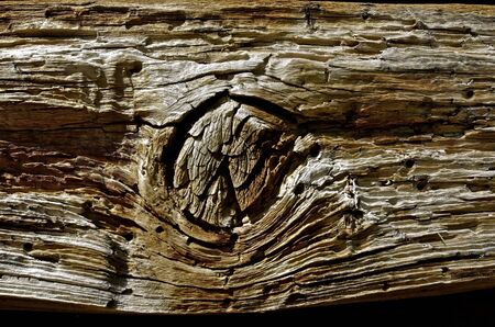 Knot of an old weathered fence post