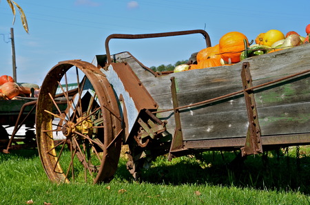 Old manure spreader is full of squash pumpkins and guords.の写真素材