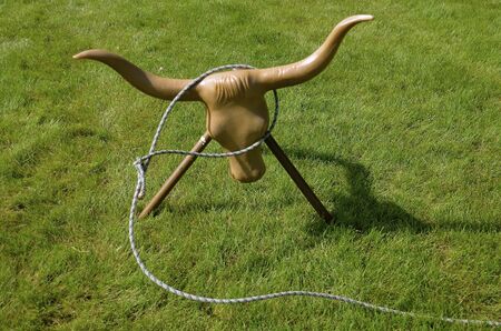 A three dimensional shaped Texas longhorn is the target practice for a cowboy in using the lariat.