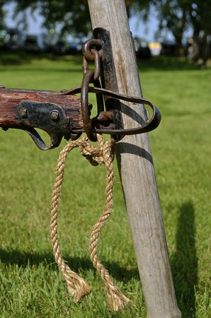 The clevis of a hitch is supported by the single tree to be pulled by horses.の写真素材