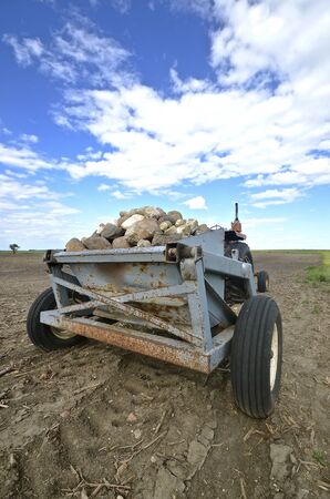 A load of rocks and stones in a dirt field have been collected by a rock picker.の写真素材